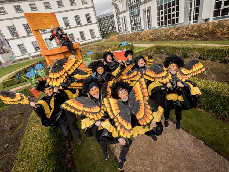 St Patrick's Day Festival in Kilkenny to focus on  Jonathan Swift