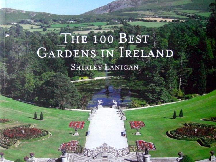 Kilkenny People Gardening Column