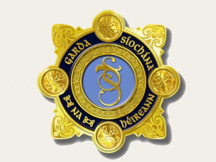 Cannabis seized from car in residential area destined for Kilkenny City drugs market 