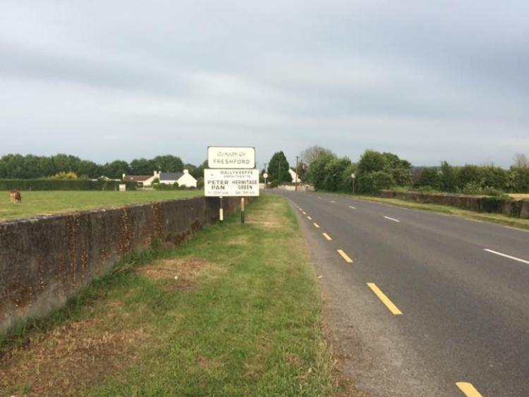 Kilkenny town's road margin to be revamped 