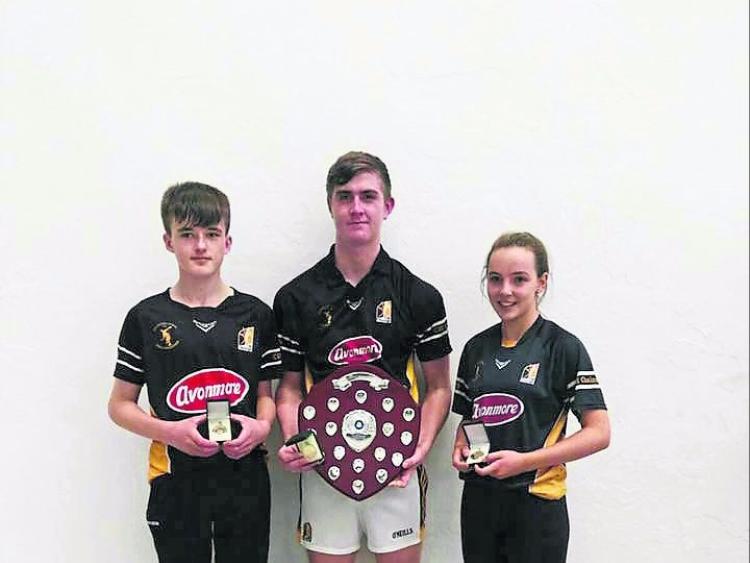 Kilkenny handball: The titles roll in