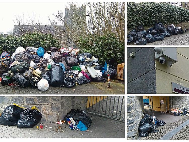 Shocking images: Beautiful Kilkenny City awash with&nbsp;illegal dumping &ndash;&nbsp;hotspots discovered this morning