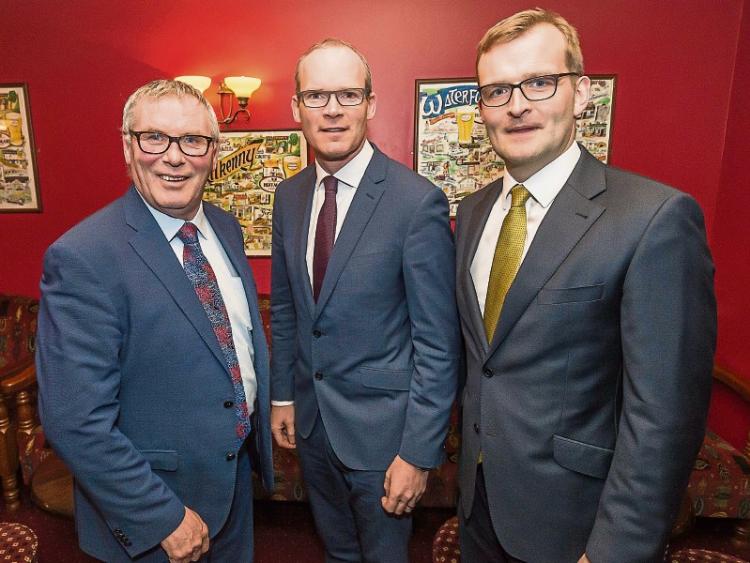 Kilkenny TD, John Paul Phelan fears landgrab by backdoor