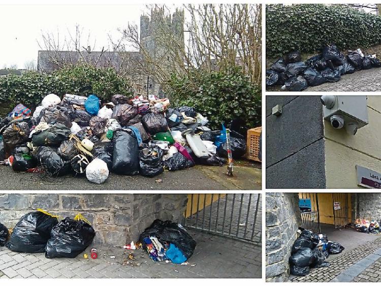 Kilkenny's illegal dumpers are identified and fined