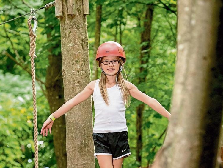 Summer programme at 'Comer Discovery Park