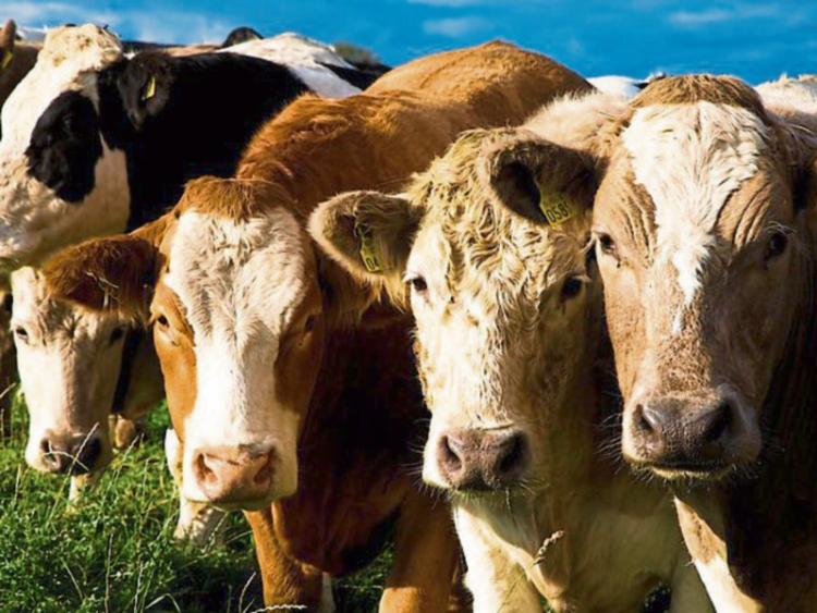 Editorial: Kilkenny&rsquo;s farming fame