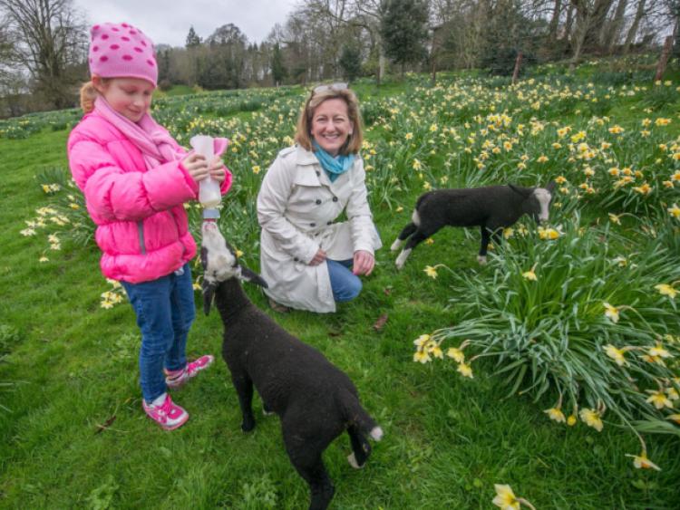Carol Brill and her daughter Sara pictured with two of the lambs on Suzanna Crampton's Zwartbles sheep farm in Bennetsbridge. Photo: Pat Moore.