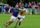Kilkenny SHC final: Variety is the spice of life