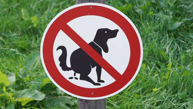 og poo in parks and other public spaces is becoming a growing problem, says North Devon Council.