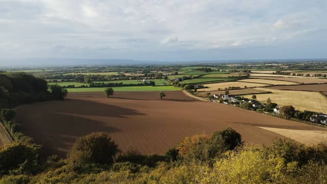 Laois farmland below the Rock of Dunamaise. Pic: Leinster Express