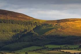 Brandon Hill is the highest peak in Kilkenny