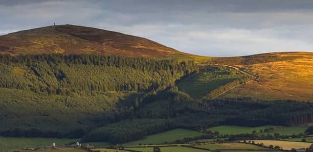 Brandon Hill is the highest peak in Kilkenny