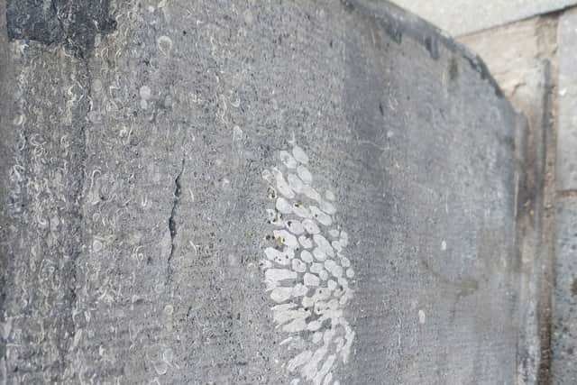 The engaging walk-and-talk event began from Canal Square, and went up Rose Inn Street where Prof McNamara made her first stop, to point out Limestone kerbing, marked by the fossilised remains of creatures from 350 million years ago.