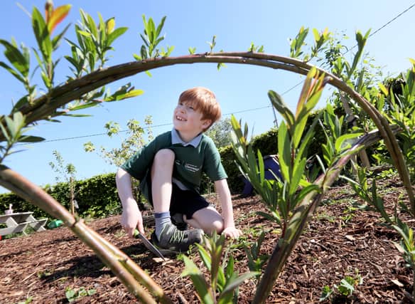 The awards help schools to positively steward their local land, improving biodiversity and educating young nature heroes throughout Ireland