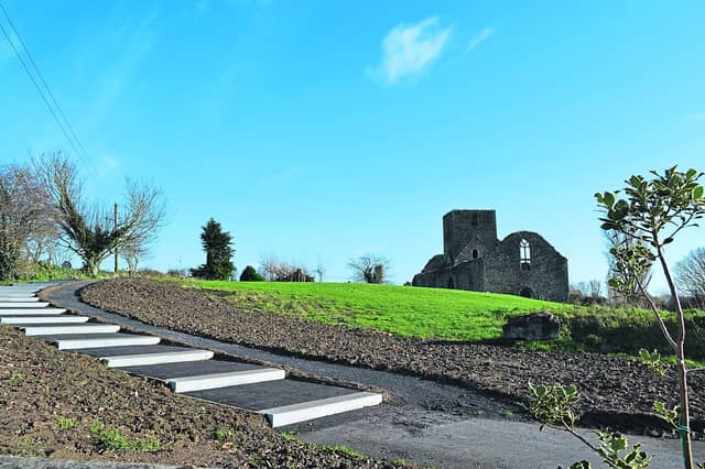 The Abbey Meadow in Callan would be part of a heritage trail