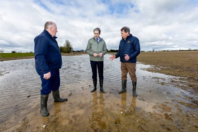 Taoiseach Simon Harris on a visit to the Farrell farm in Gowran