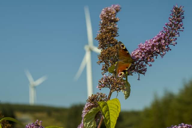 In the most recent opinion poll 80 per cent of people supported wind energy. And in an independent report published last year by the SEAI – where they spoke to people living within 1 kilometre of existing wind farms – two-thirds of those people, living right next to wind turbines, want to see more wind farms built in Ireland. 
