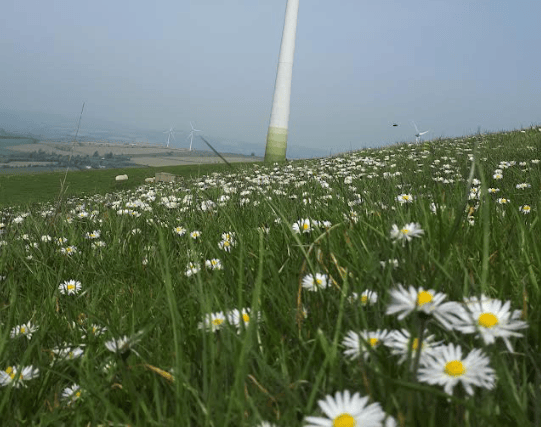 So far in 2024, Ireland’s wind farms have provided 40 per cent of the country’s electricity and, at times, three-quarters of our power has come from wind farms. 