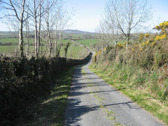 A roadside hedgerow near St. Johnston