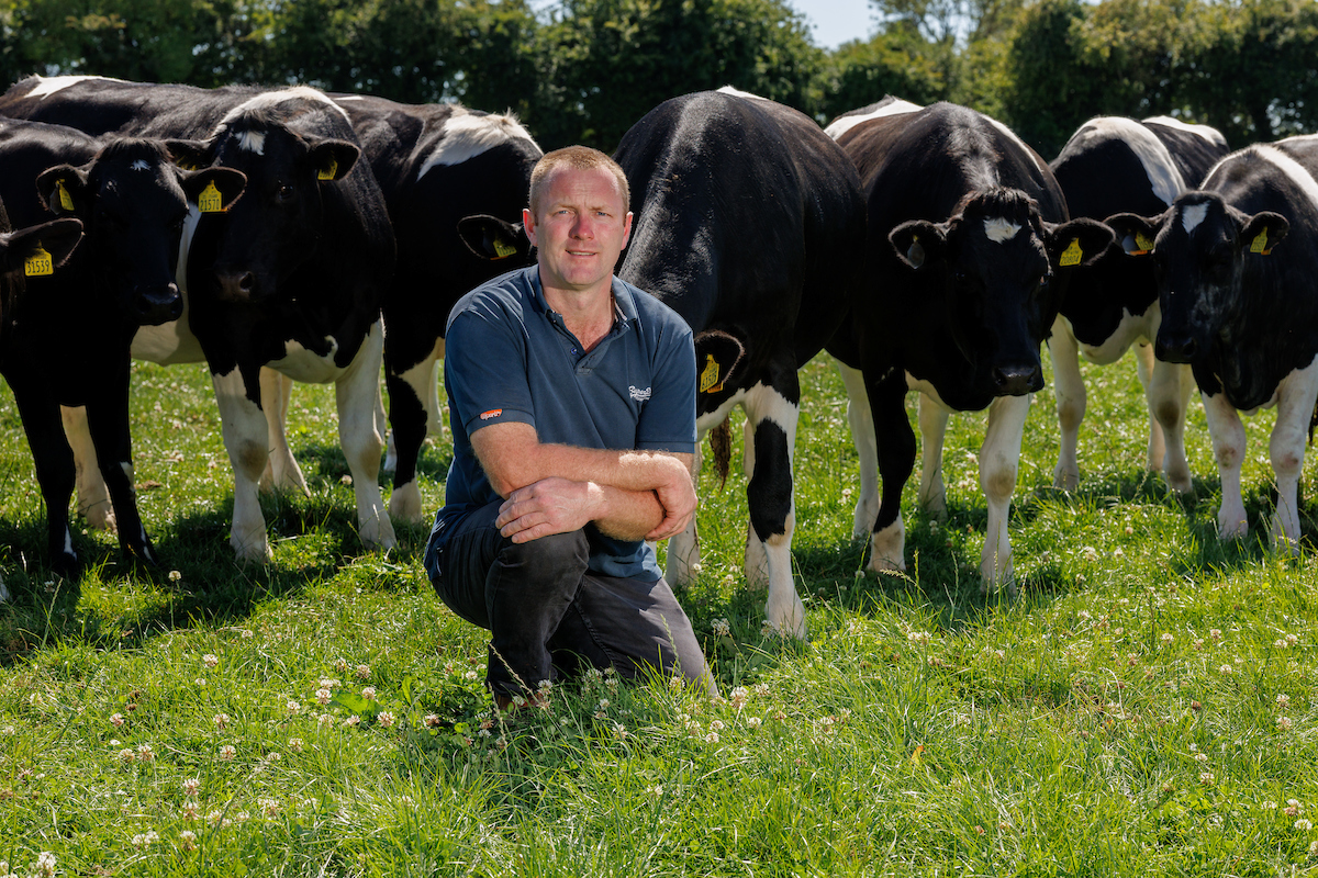 Denis Drennan on his farm, near Dunbell, Kilkenny