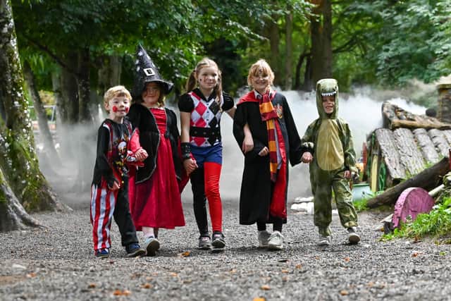 Ghouls and goblins to join dinos for Wicked Walk and Hallowe'en fun at ...