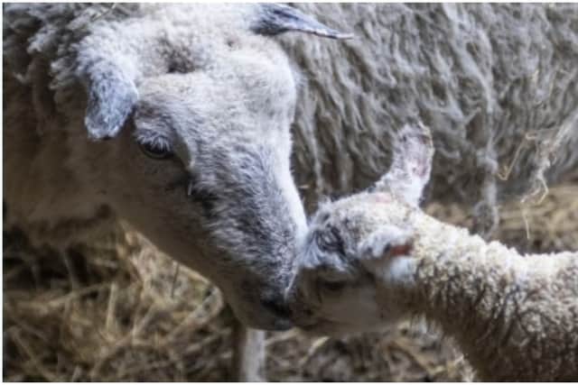 There are numerous reasons why the Cultivate product is attractive but the local and personal touch are definitely foremost in farmer's thoughts while quick turnaround times are also given as a reason for choosing St. Canice's. 