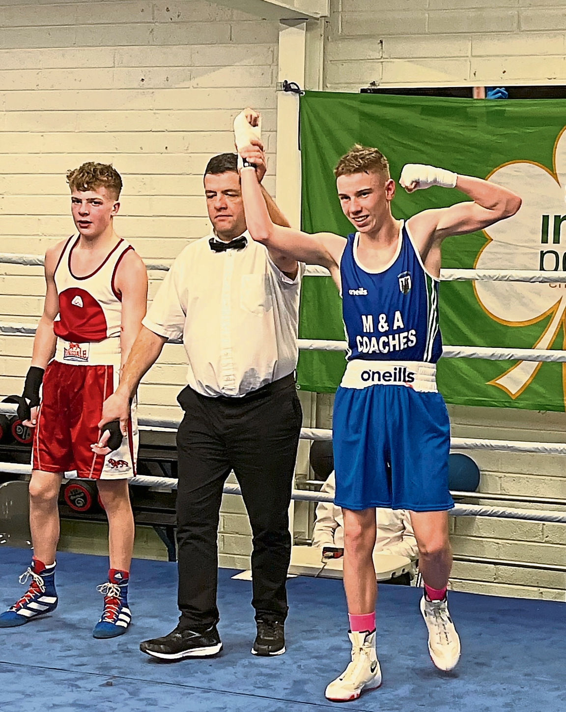 Gr-eight time for Marble City as club reigns in Leinster
