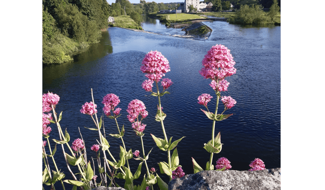 Bennettsbridge