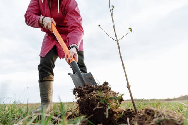 deas include Community Fridge, which supports the sharing of surplus food and the reduction of food waste, and Open Orchard, which connects communities through planting of fruit trees in public places