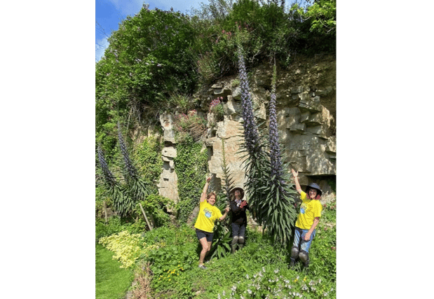 Members of the Biodiversity garden team with their amazing echiums