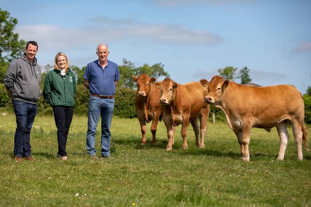 Breda O’Donnell (centre) manager of the Clonmel branch announcing FBD’s enhanced sponsorship for cattle classes at the Clonmel Show on Sunday, July 3, with Michael Kelly (left) and Tom Acheson