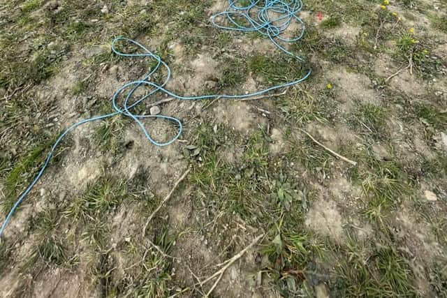 Mayor calls for investigation following sightings of dead horse in Kilkenny