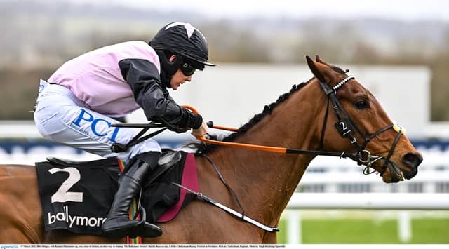 Bob Olinger PIC: Sportsfile