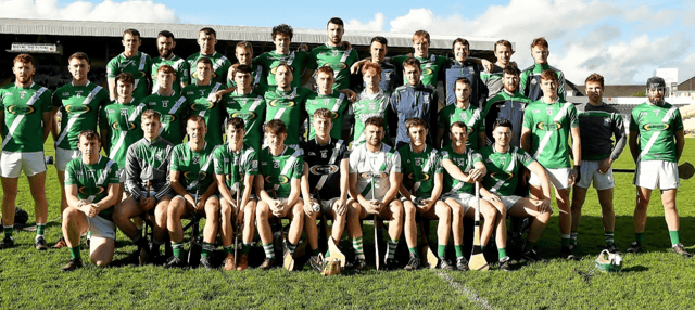 The Junior Hurling Championship winning Mooncoin side. Pic: Willie Dempsey
