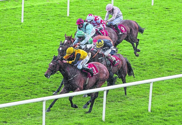 Despite losing an iron a furling from home, Niall McCullagh delivered a strong performance to win the fillies’ handicap on the John Murphy-trained Celtic Crown at Gowran Park. Picture: Caroline Norris