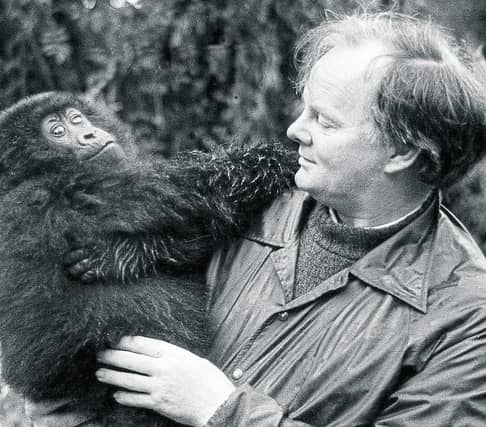 Liam White on assignment at the Diane Fossey gorilla study project in Rwanda in the early 1980s