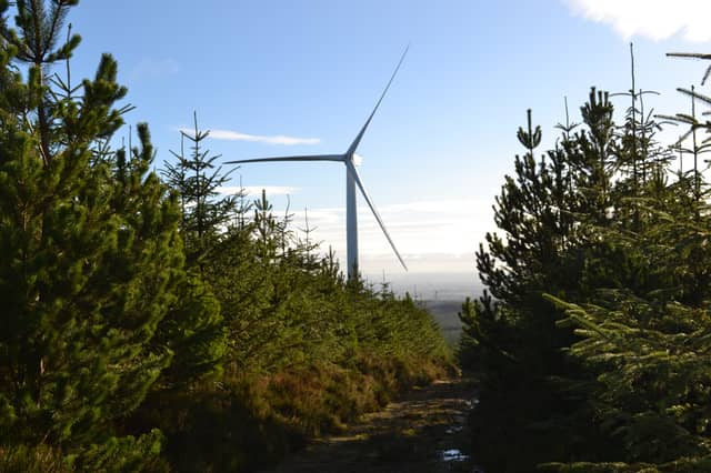 Turbine in forestry