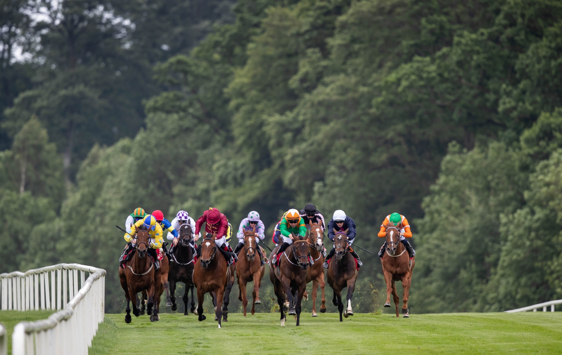 Kilkenny Horse-Racing: King Keane success at Gowran Park gives Lyons ...