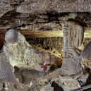 Dunmore Cave