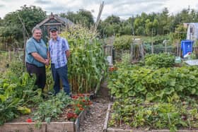 John Walsh and Tom Morris at the allotments in Altamount