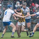 Conor Delaney was one of the new Kilkenny players who did very well against Waterford