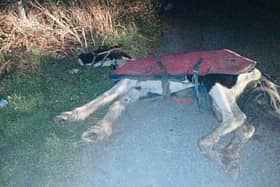 Recent incidents whereby horses have died in suspcious circumstances have prompted Cllr Andrew Mc Guinness to call for the suspension of the local Horse Project