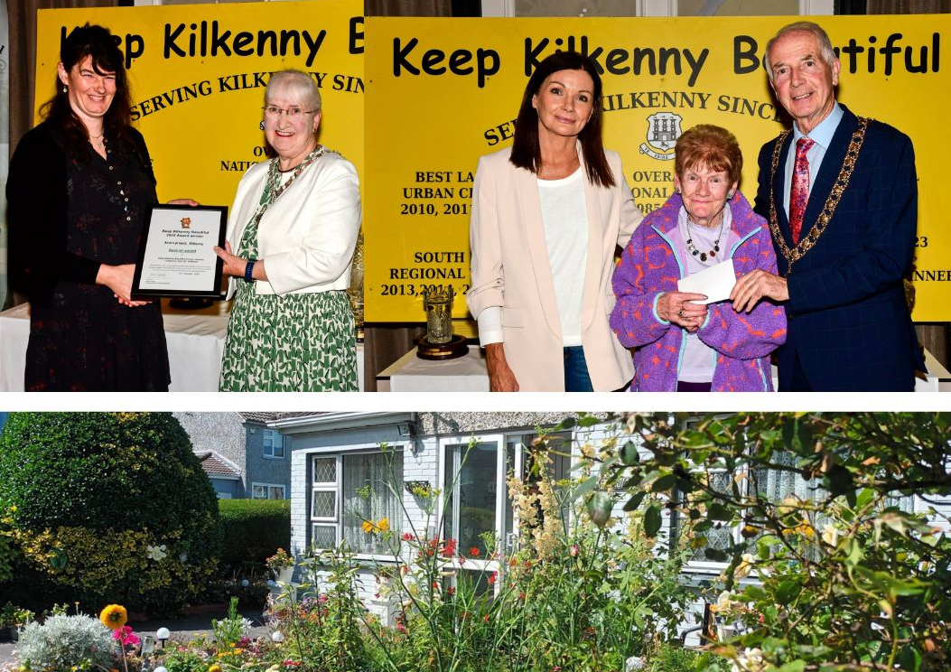 PICTURES: Kilkenny projects feted as special awards handed out at KKB Awards 2025 - gallery #3!