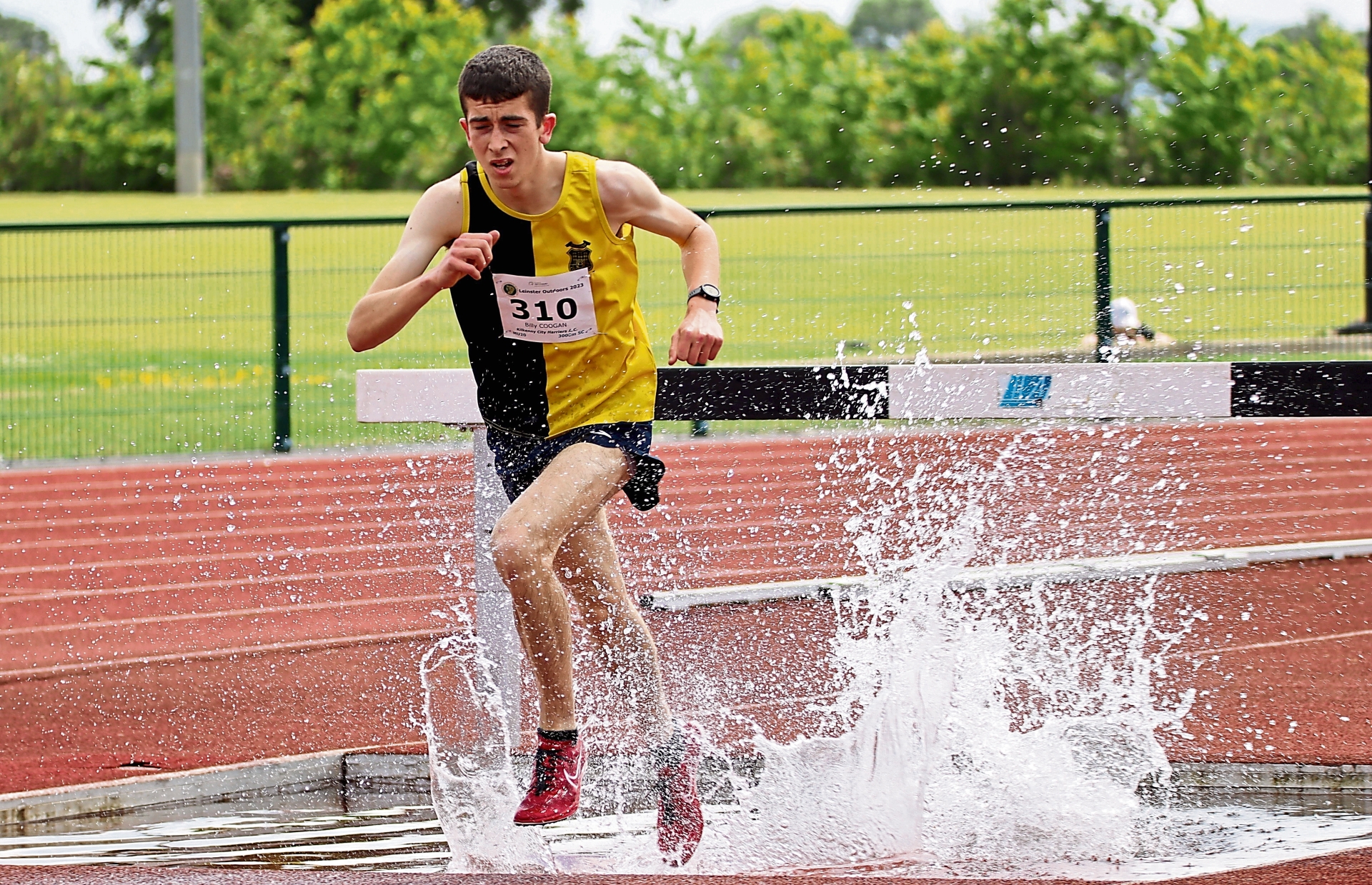 Pictures: Kilkenny athletes soak up the sun - and medals - at Leinsters