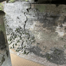 Significant crack in supporting concrete structure on Ferrymountgarrett Bridge in South Kilkenny