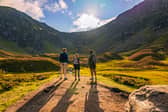 Even 15 minutes in nature reduces levels of cortisol