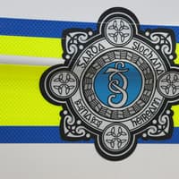 Gardaí assigned to Kilkenny district as part of largest force in the history of the state
