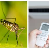 Left: Ireland has traditionally had few mosquitoes, but that appears to be changing. Right: Very few of us in Ireland have air conditioners in our homes