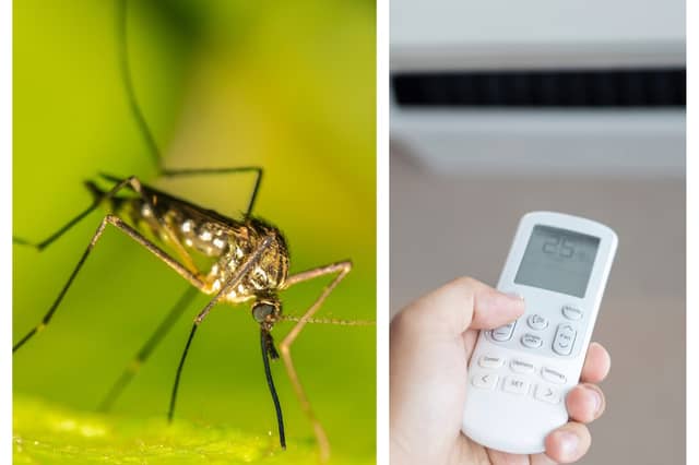 Left: Ireland has traditionally had few mosquitoes, but that appears to be changing. Right: Very few of us in Ireland have air conditioners in our homes