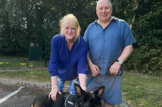 Drogo with his new owners